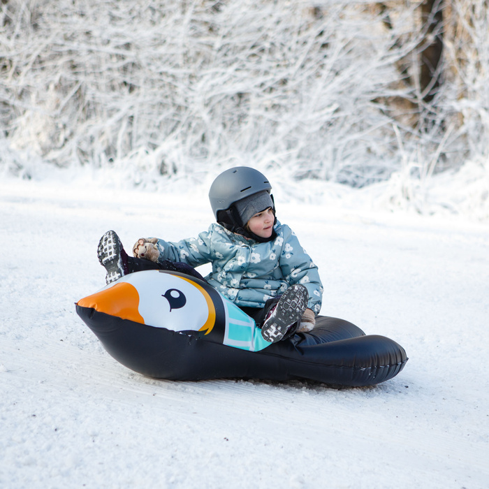 Ślizg śnieżny Meteor Penguin czarny/miętowy