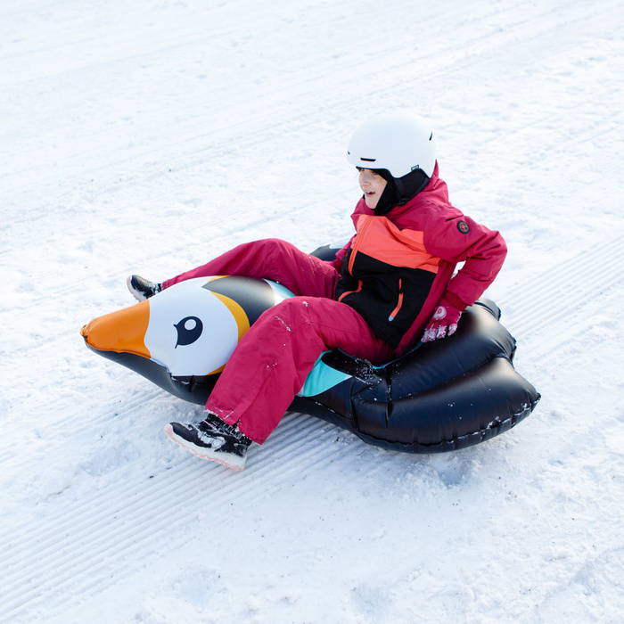 Ślizg śnieżny Meteor Penguin czarny/miętowy