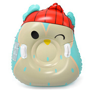 Ślizg śnieżny Meteor Owl