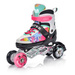 Rolki Meteor 4w1 Painter L 38-41