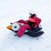 Ślizg śnieżny Meteor Penguin czarny/miętowy