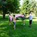 Koc piknikowy Meteor 150x190 cm różowy