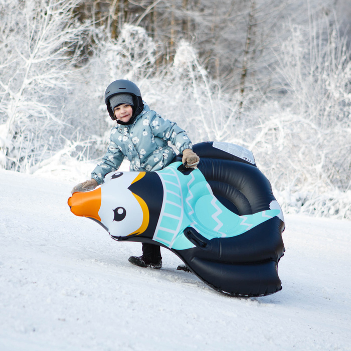 Ślizg śnieżny Meteor Penguin czarny/miętowy