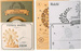 ROBOTIME Drewniany Model Puzzle 3D Diabelski Młyn